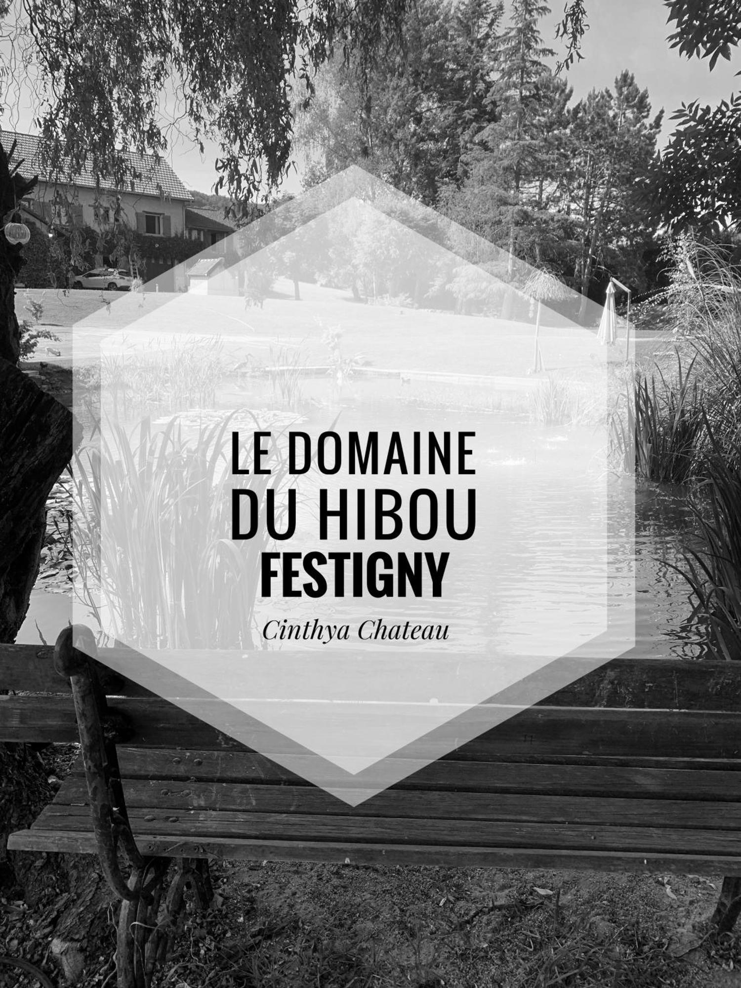 Le Du Hibou Appartement